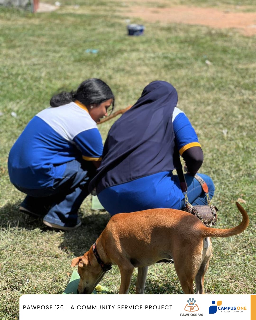 Pawpose 2026 - A Mission to Nourish and Care 6